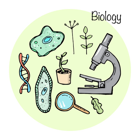 Set of studying elements. Biology topic.のイラスト素材