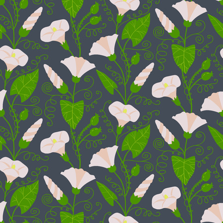 Seamless pattern with beautiful gentle bindweeds. It can be used for greeting cards, birthday cards, wedding inwitations, wallpapers, textile, etc. Vector illustrationのイラスト素材