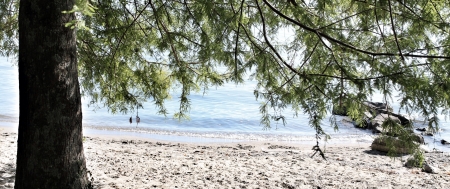 Beachの素材