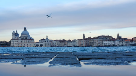 Calm waters reflect historic buildings along the Venice waterfront as a pale morning sky adds serenity to the picturesque scene. Seagulls drift overhead adding to the ambiance.の写真素材