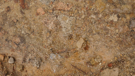 A close-up view of the ground reveals a variety of textures, including pebbles and small rocks submerged in clear water. The natural light enhances the colors and patterns.の写真素材