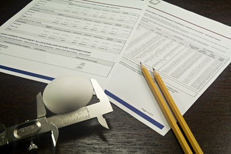 Nest Egg being measured against a background of 401K investment statements and documents.
