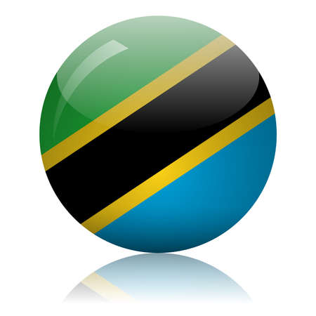 Tanzania's flag glass ball on light mirror surface vector illustrationのイラスト素材