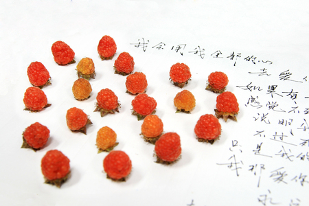 Raspberry heartsのeditorial素材