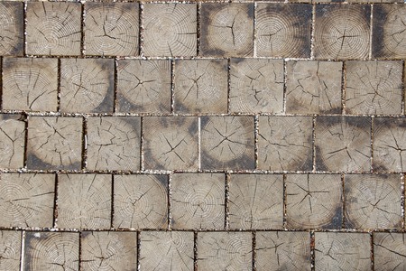 Paving blocks made of wood with natural patterns background.の写真素材