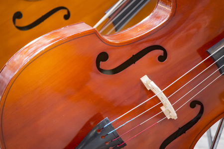 Close up of two cello. violoncello, violinの写真素材