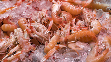 Pink fresh frozen shrimps with ice in a supermarket or fish shop. Uncooked seafood close up background. Fresh frozen prawns, delicacies, sea food concept, close up.の写真素材