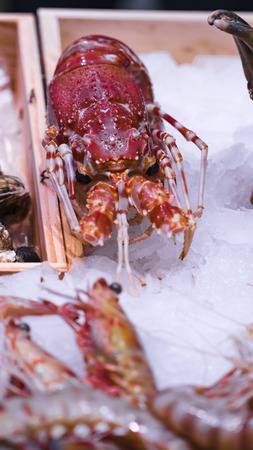 Pink fresh frozen shrimps with ice in a supermarket or fish shop. Uncooked seafood close up background. Fresh frozen prawns, delicacies, sea food concept, close up.の写真素材