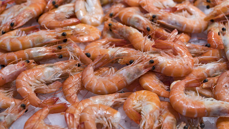 Pink fresh frozen shrimps with ice in a supermarket or fish shop. Uncooked seafood close up background. Fresh frozen prawns, delicacies, sea food concept, close up.の写真素材