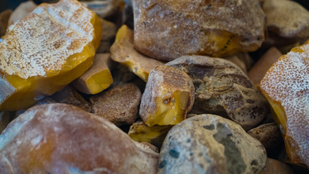 Amber stone. Authentic Baltic amber with prehistoric fossil insect macro. Magnifying glass and...