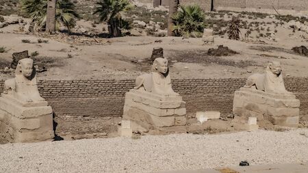 Luxor Temple in Luxor, Egypt. Luxor Temple is a large Ancient Egyptian temple complex located on the east bank of the Nile River in the city today known as Luxor, ancient Thebes, and was constructed approximately 1400 BCE.の写真素材