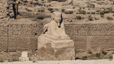 Luxor Temple in Luxor, Egypt. Luxor Temple is a large Ancient Egyptian temple complex located on the east bank of the Nile River in the city today known as Luxor, ancient Thebes, and was constructed approximately 1400 BCE.の写真素材