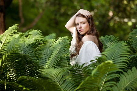 A young, beautiful lady hides and seeks in fernの写真素材
