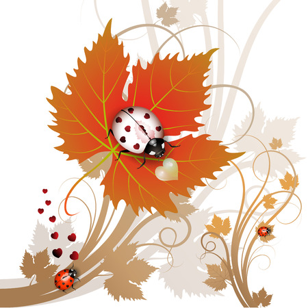 Vector illustration of a ladybug on leafのイラスト素材
