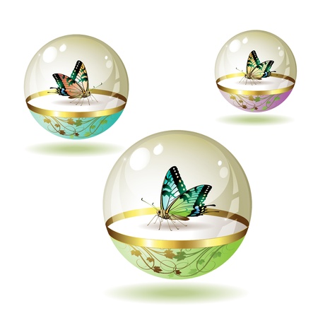Butterfly collection isolated in glass globe on white backgroundのイラスト素材