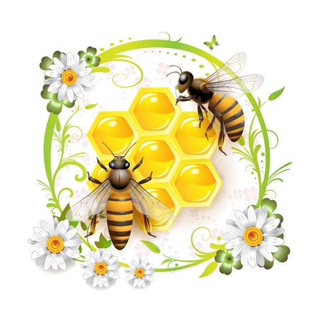 Two bees and honeycombs over floral background isolated on white のイラスト素材