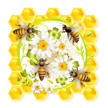 Bees with flowers and honeycombsのイラスト素材