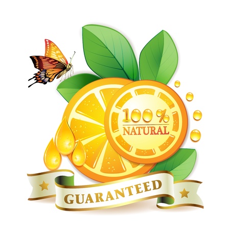 Slices orange with leaf isolated on white background のイラスト素材