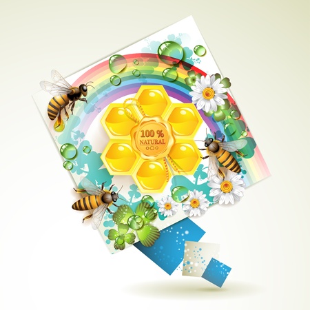 Bees and honeycombs over floral background with rainbow and drops of water のイラスト素材