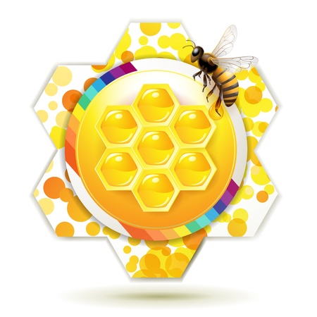 Bee and honeycomb over white background のイラスト素材