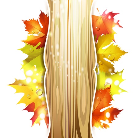 Wood background with autumn colorful leaves のイラスト素材