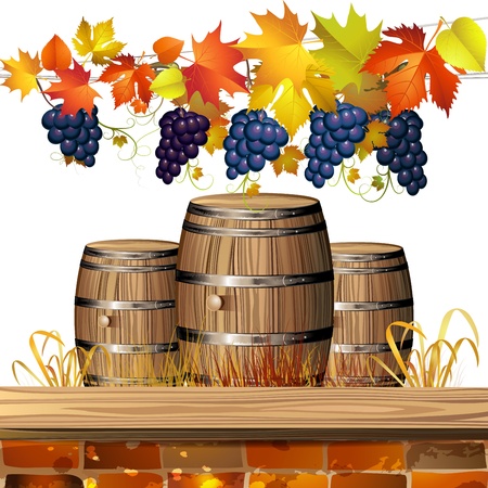 Wood barrel for wine with autumn colorful leaves and grapesのイラスト素材