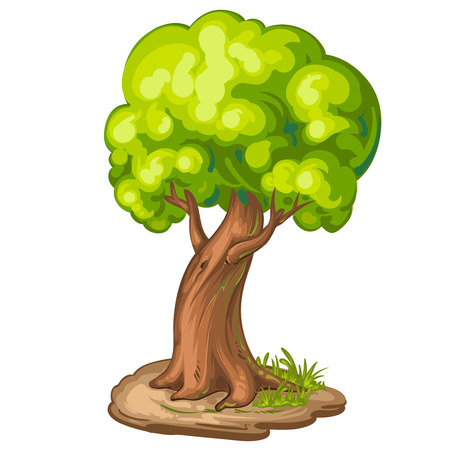 Illustration of a closeup treeのイラスト素材