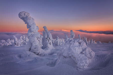 Winter in Krkonose Natiolal Parkの写真素材