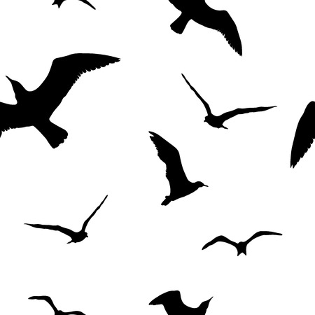 Silhouettes seagulls.  Black pattern wall decorの写真素材