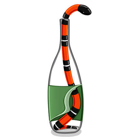 Tear-off label on a white background.のイラスト素材