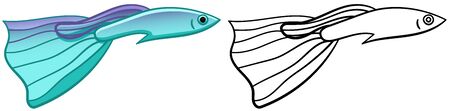 Blue Moscow Guppy fish in colored and line versions. White background, vector.のイラスト素材