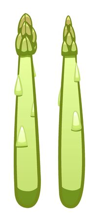 Green cartoon style asparagus isolated illustration. White background, vector.のイラスト素材