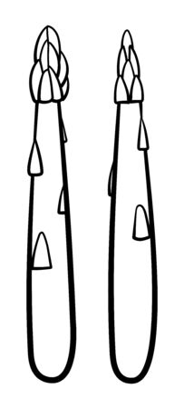 Cartoon style asparagus in black lines isolated illustration. White background, vector.のイラスト素材