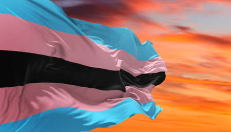 Black trans flag waving in the wind at cloudy sky. Freedom and love concept. Pride month. activism,...
