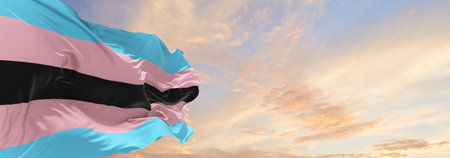 Black trans flag waving in the wind at cloudy sky. Freedom and love concept. Pride month. activism, community and freedom Concept. Copy space. 3d illustration,の写真素材