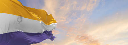 waving Women's Suffrage, United States flag with. right of women to vote in elections. 3d illustrationの写真素材