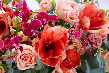 a floral composition  isolated on white. Fresh, lush bouquet of colorful flowersの写真素材