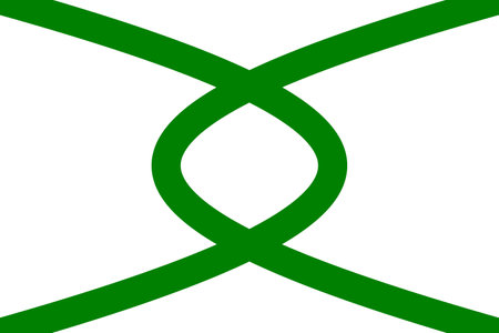 Top view of flag La Union, Chile. Chilean patriot and travel concept. no flagpole. Plane design, layout. Flag backgroundの写真素材