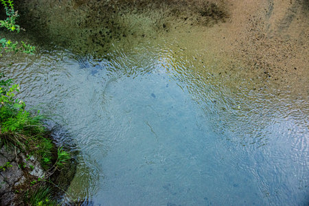 Landscape view of a small river in the forest during summer.の写真素材