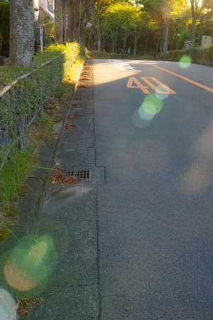 Suburban road