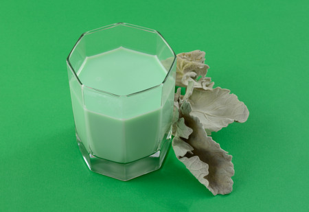 Grasshopper after-dinner drink on green for St. Patrick's Dayの写真素材