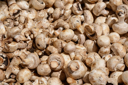 Close up of crate of mushrooms at farmer's marketの写真素材