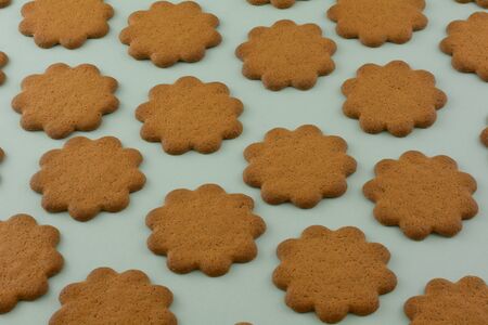 Swedish thin ginger cookies in rows on green backgroundの写真素材