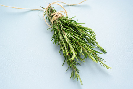 Organic natural fresh rosemary tied with a thread on a light blue background.