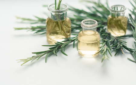 Rosemary essential oil in small bottles with a fresh rosemary twigs closeup, selective focus.の写真素材