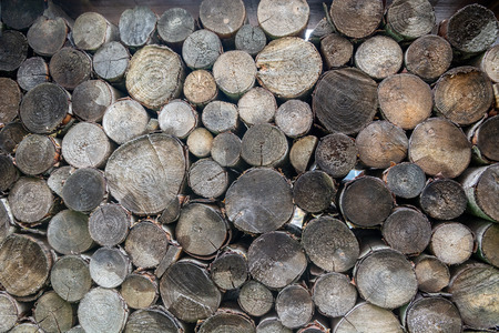 Round teak wood stump background, wooden logs view.