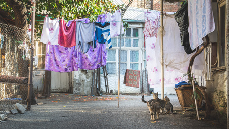 Cat sitting on the ground in a typical georgian yard with colourful clothes and linen drying on a string, Tbilisi, Georgia.の写真素材