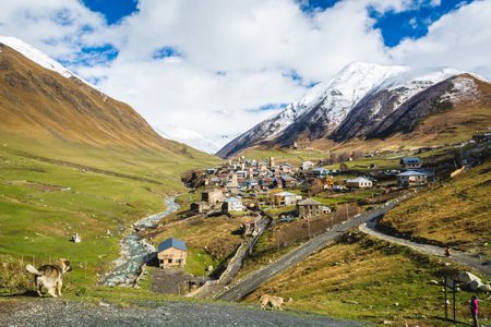 View of Ushguli village placed on green fields between mountains with snowy peaks under blue sky, Georgiaの写真素材