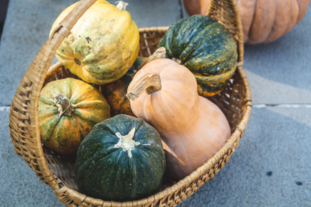 Autumn rustic still life - different colourful pumpkins in a basket, selective focus.の写真素材