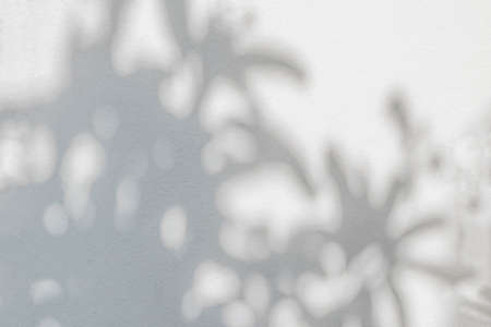 Leaves shadow and tree branch abstract background.  Natural leaves tree branch light bokeh shadows...